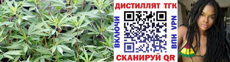 купить наркоту  Кочубеевское  Дистиллят ТГК Wax 