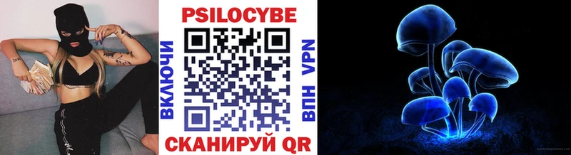 Галлюциногенные грибы Psilocybine cubensis  Кочубеевское 