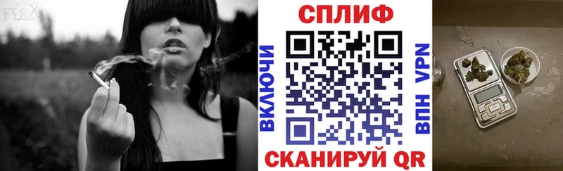 Бошки Шишки планчик Кочубеевское
